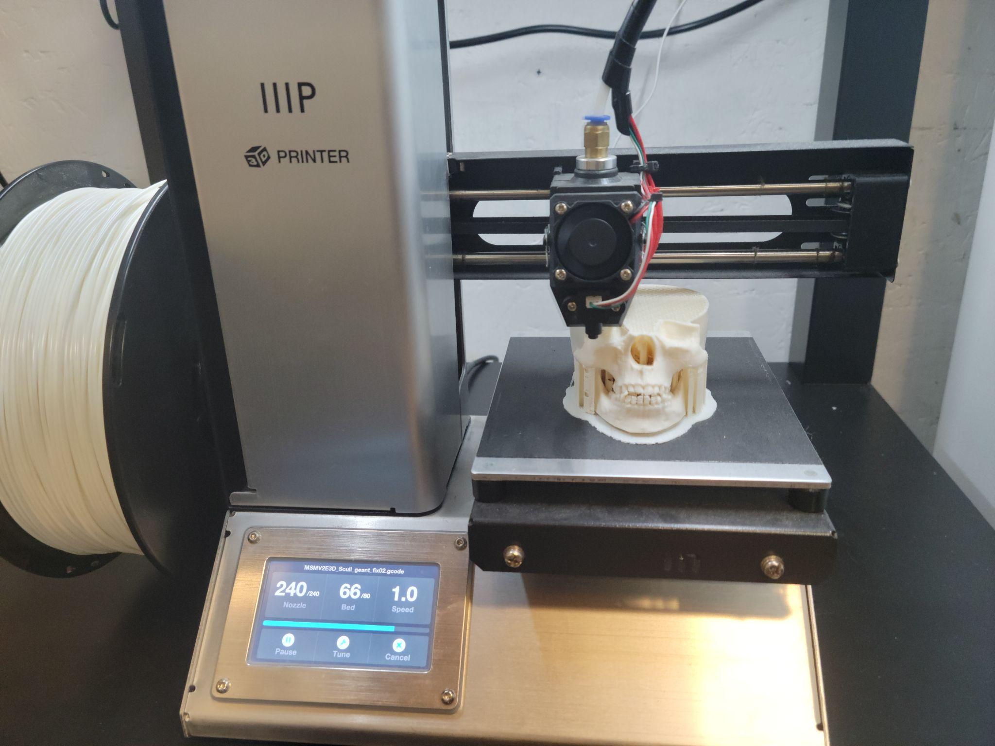 Skull detail — process comparison