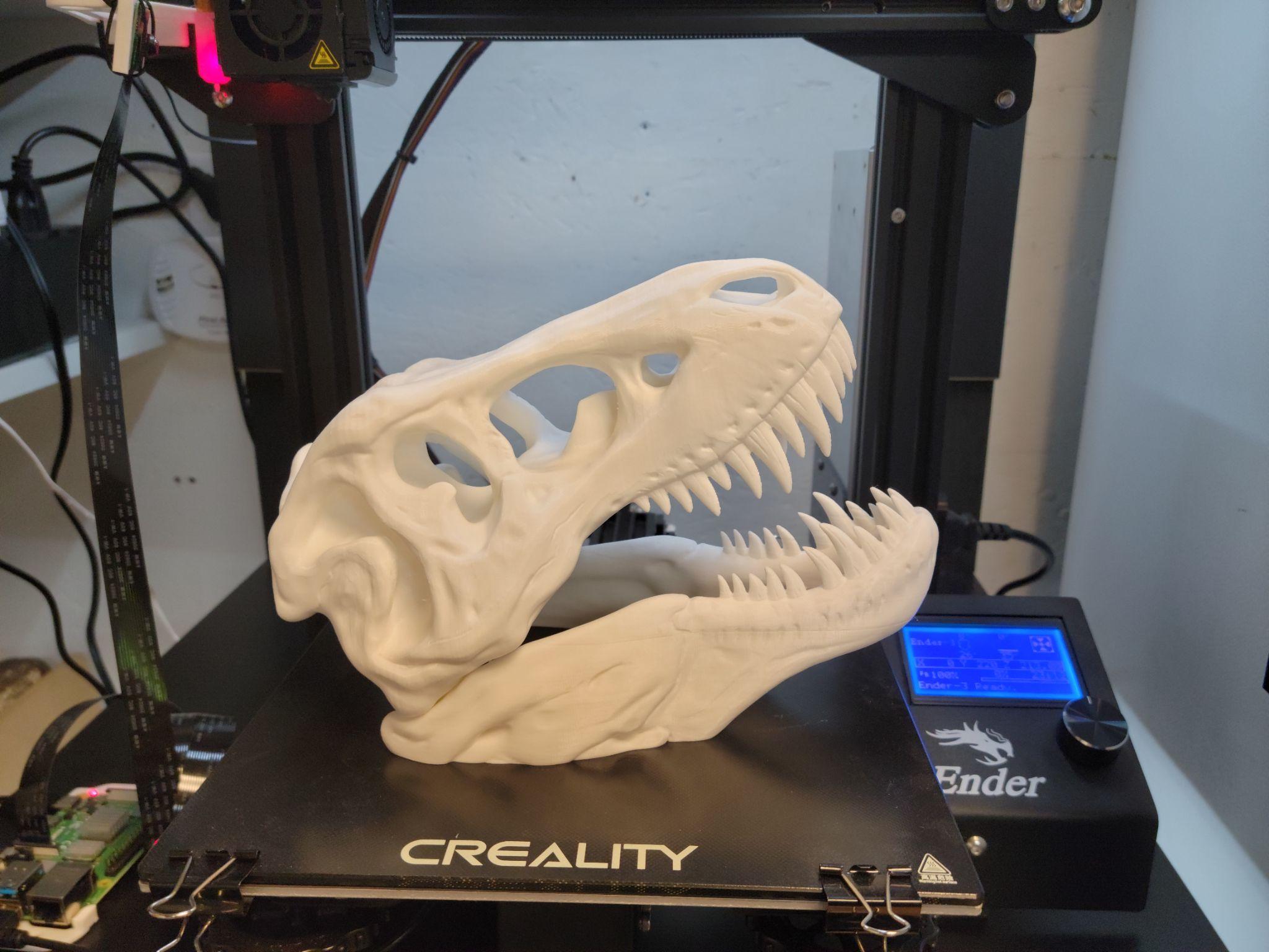 T-Rex skull assembled