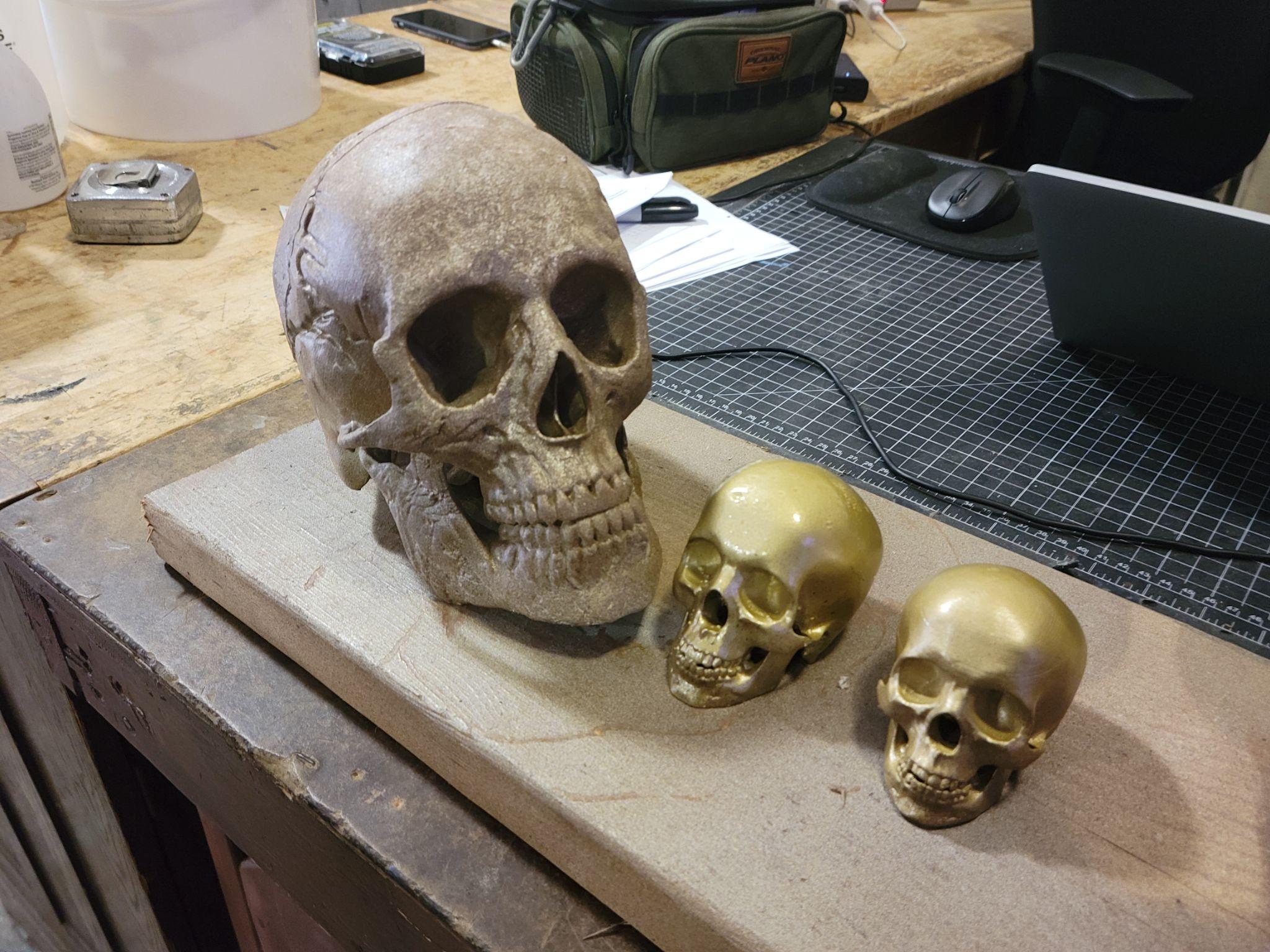 Finished skulls after painting — the resin skull shows notably finer surface detail