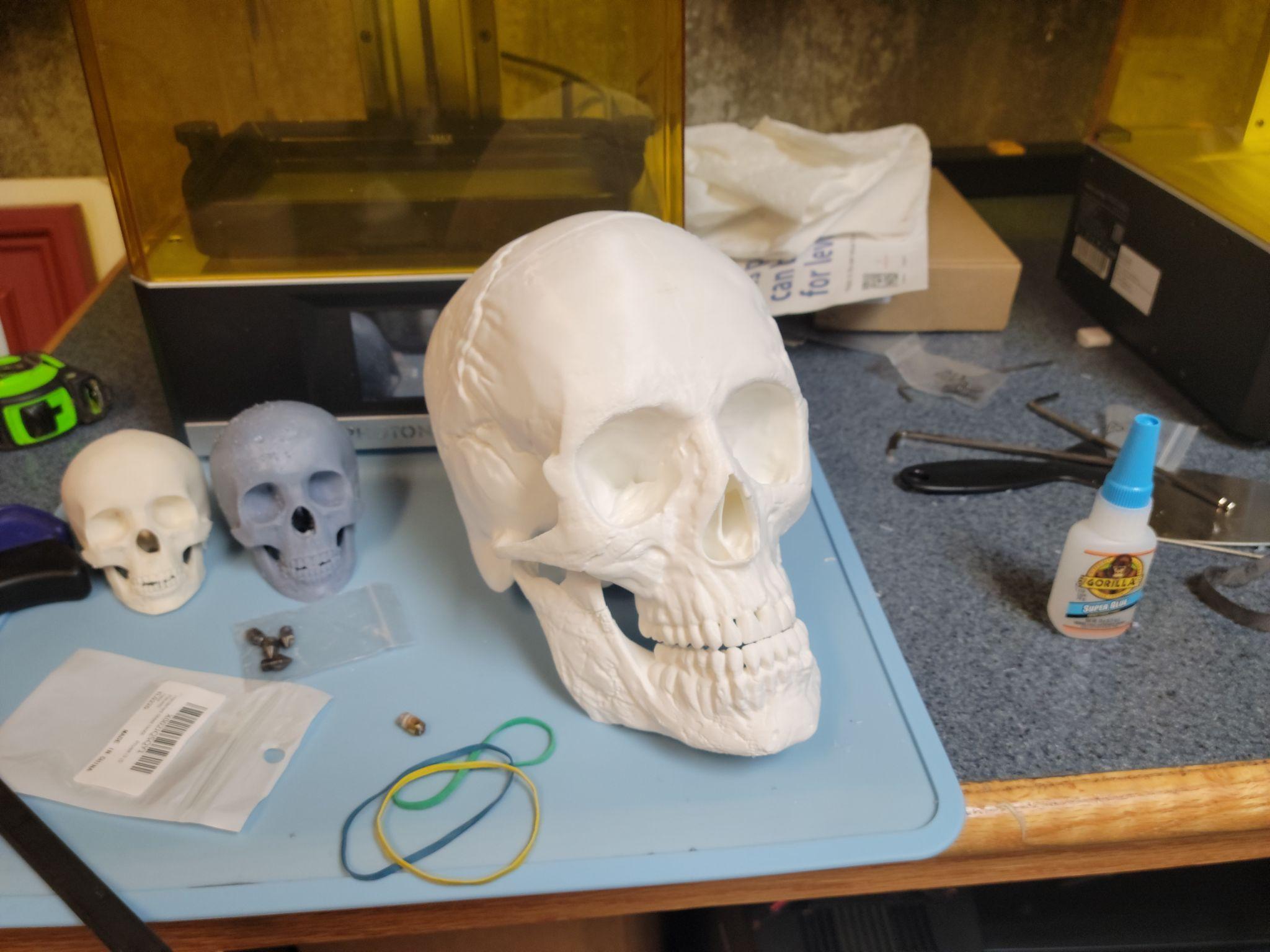 Three skulls before finishing — one large FDM, two small (one FDM, one resin)